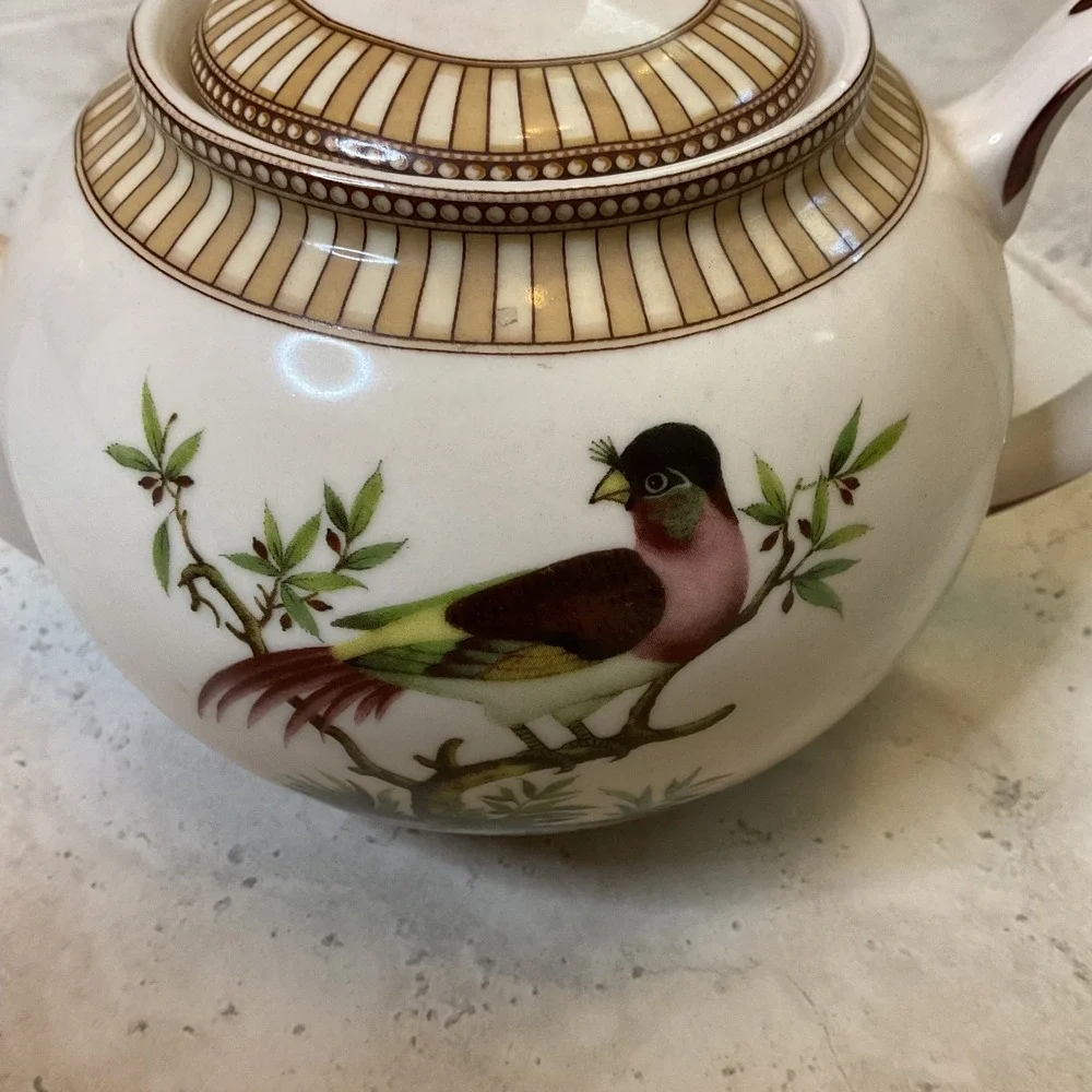 Vintage Burton & Burton Birds of Prey Ceramic Teapot Cream w/ Striped Border
